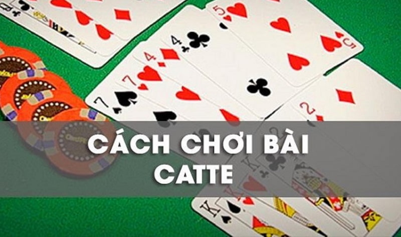 Áp dụng chiến thuật chơi bài catte Sin88 thông minh